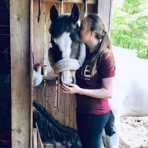 Meet your Posher, Taylor